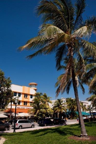 waldorf towers south beach