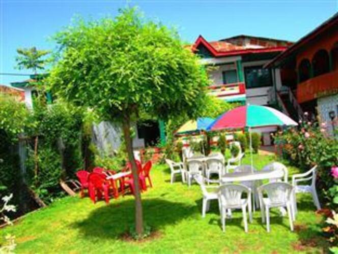 hotel new green view ii