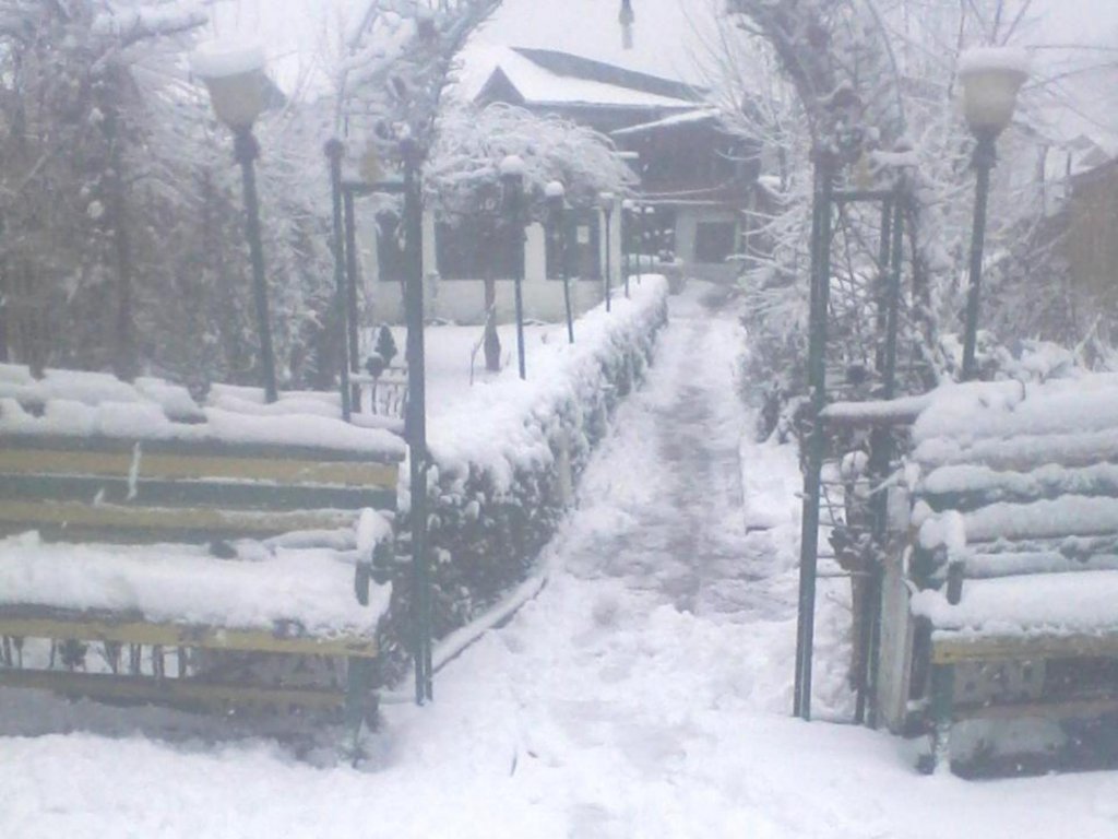 Hotel New Green View Ii,Ghat.No:15, Dallake,Nehru Park,Srinagar, 190001 Srinagar,2 star