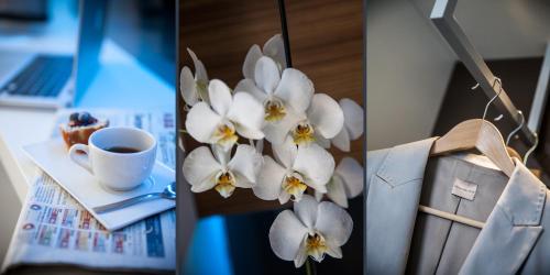 Hotel Degli Arcimboldi,In Milan (Bicocca),4 star