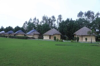 the desert den little rann of kutch