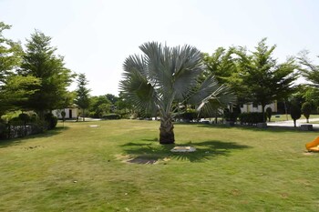 the desert den little rann of kutch