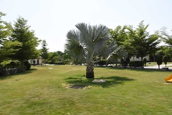 the desert den little rann of kutch