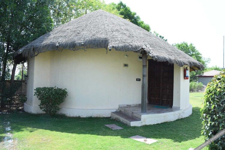 the desert den little rann of kutch