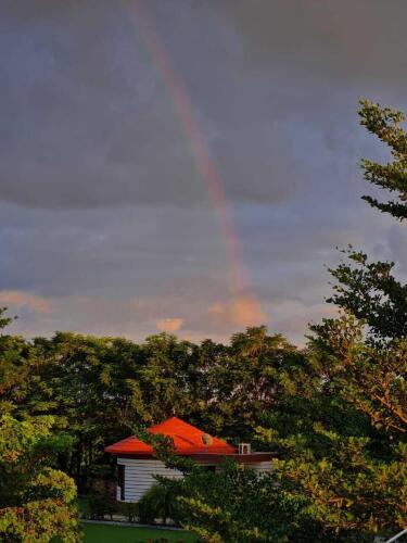 the desert den little rann of kutch