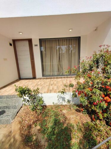 the desert den little rann of kutch