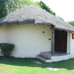 the desert den little rann of kutch