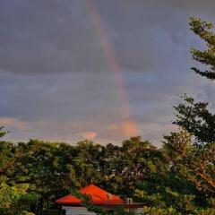 the desert den little rann of kutch