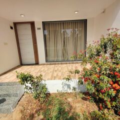 the desert den little rann of kutch