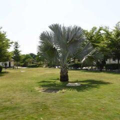 the desert den little rann of kutch