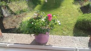 st aidens guesthouse