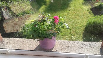 st aidens guesthouse