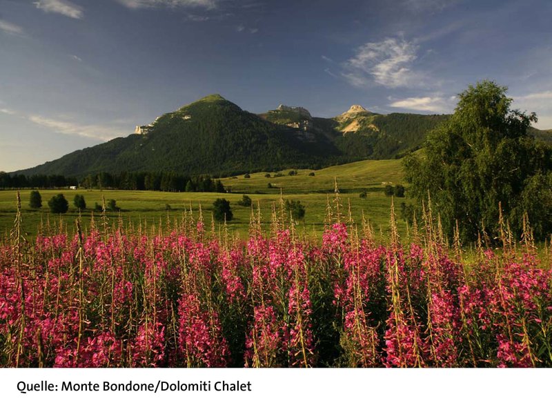 dolomiti chalet hotel