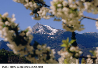 dolomiti chalet hotel