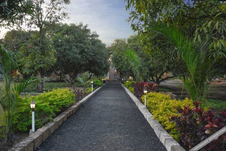 kavish gir lion resort