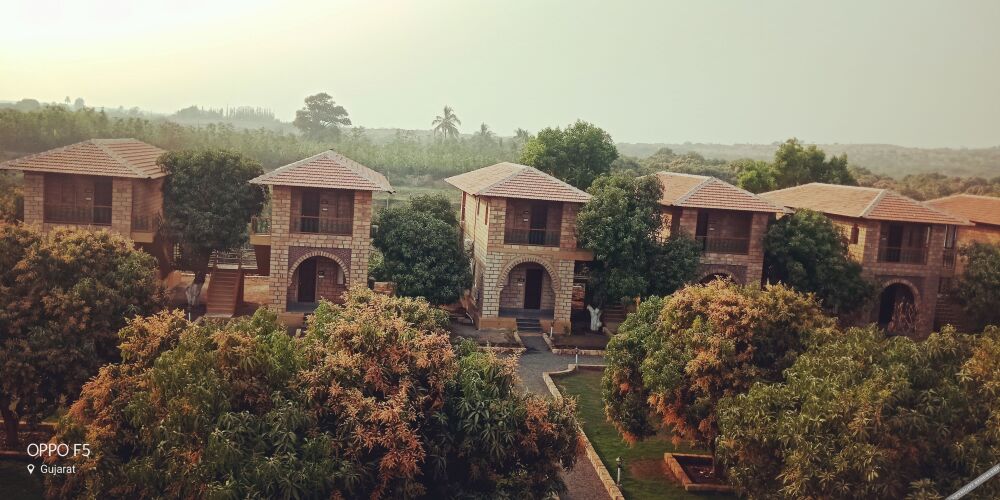 kavish gir lion resort