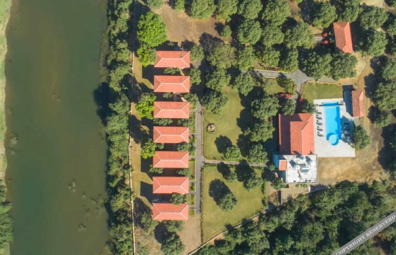 kavish gir lion resort
