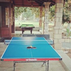 kavish gir lion resort