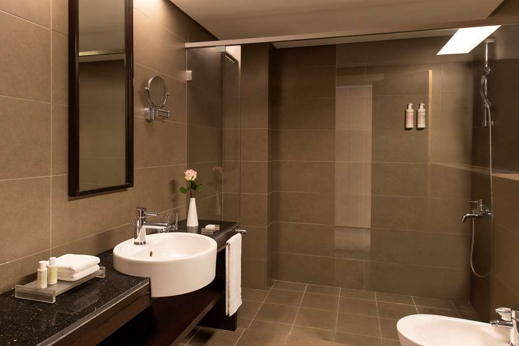 bristoria hotel erbil