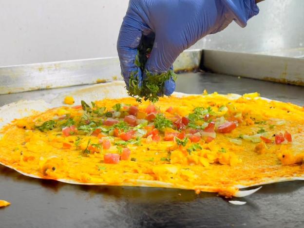 the monarch at chakan midc pune