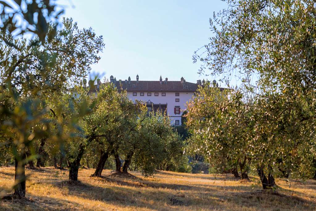 tenuta di artimino member of melia collection