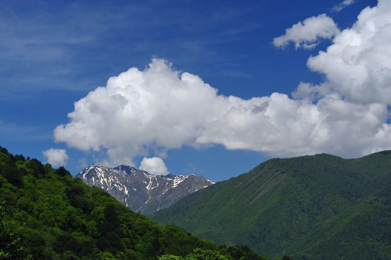 tulip inn rosa khutor