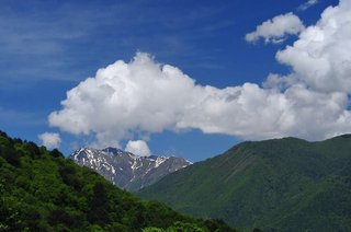 tulip inn rosa khutor