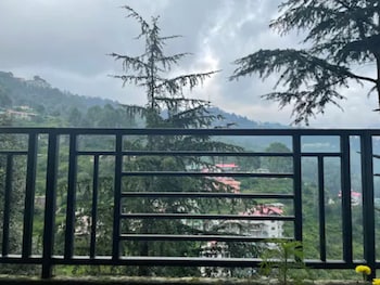 shimla