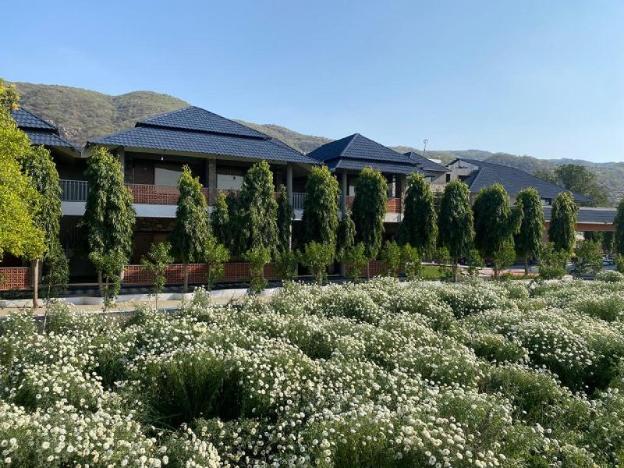 nature retreat resorts