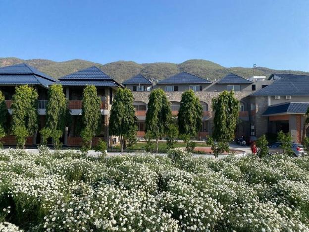 nature retreat resorts