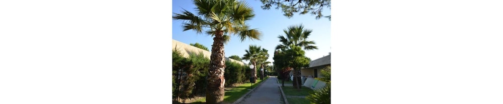 alessidamo club metaponto