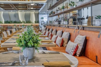 the first collection business bay