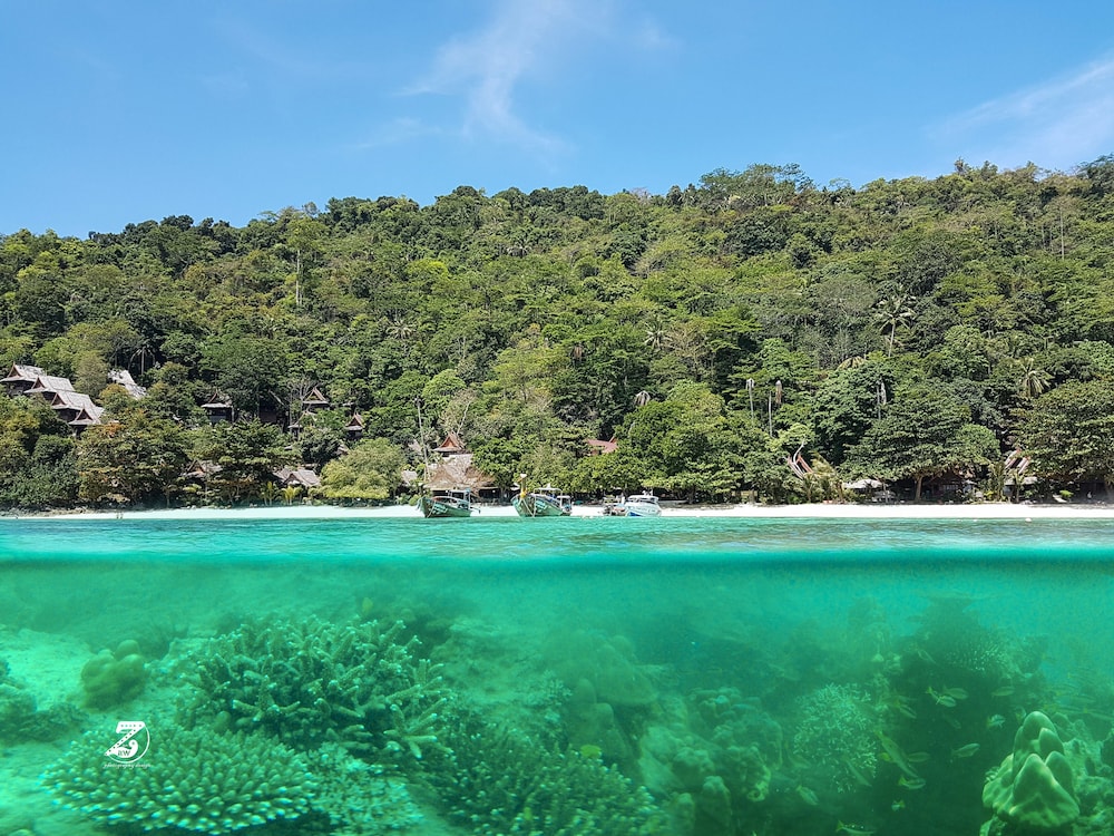 phi phi relax beach resort