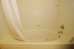 red roof inn and suites monee