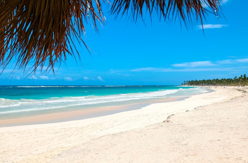 hard rock hotel and casino punta cana an all inclusive resort