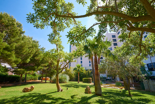Welikehotel Marfil Playa,Cala Millor>>Balearic Islands,4 star