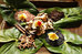 bagus jati health and well being retreat