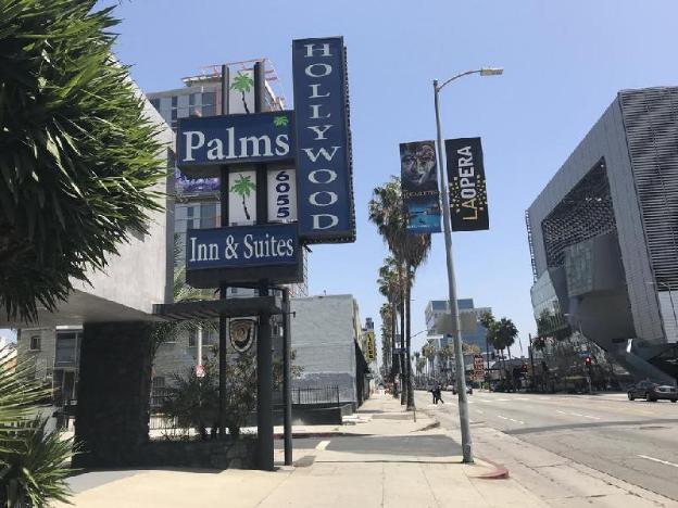 hollywood palms inn and suites