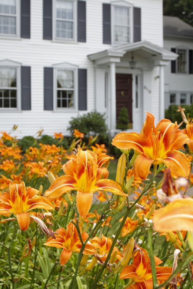 the scranton seahorse inn