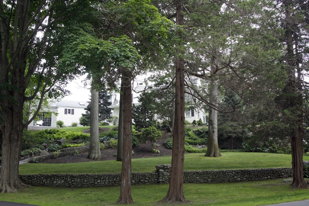 the scranton seahorse inn