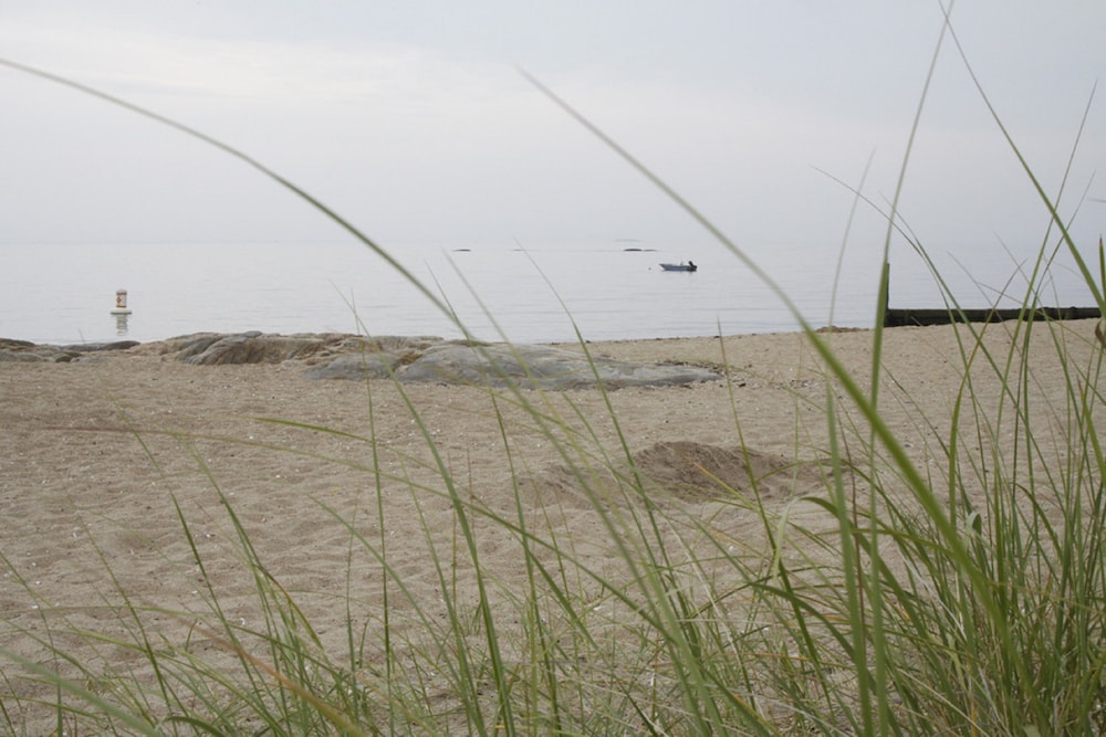 the scranton seahorse inn