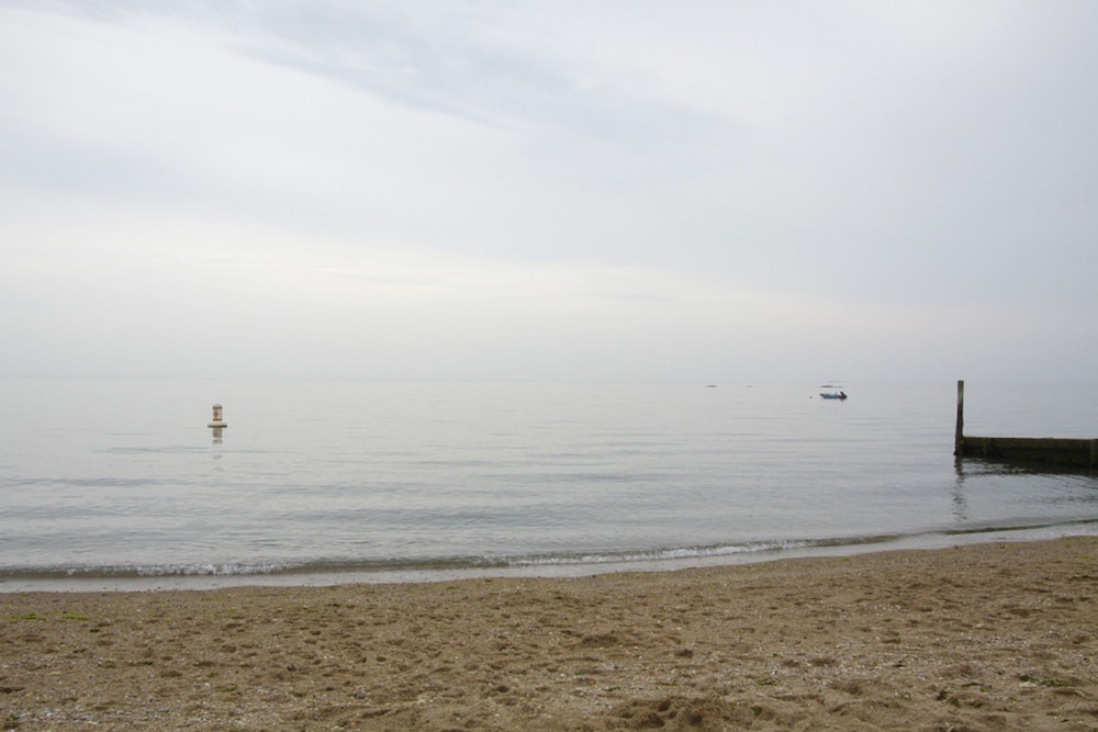 the scranton seahorse inn