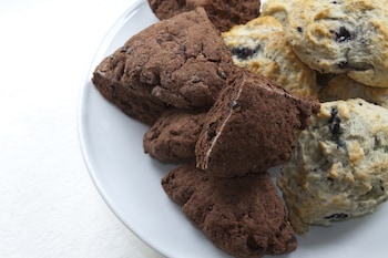 the scranton seahorse inn