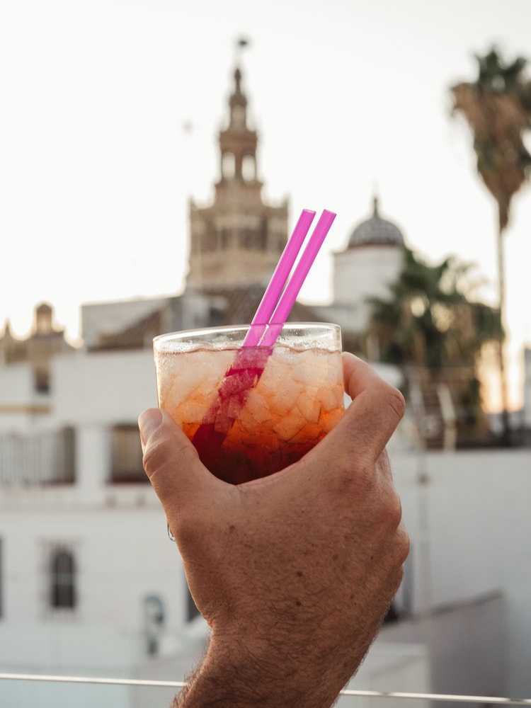 hotel boutique elvira plaza