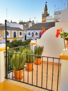 hotel boutique elvira plaza