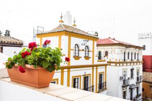 hotel boutique elvira plaza