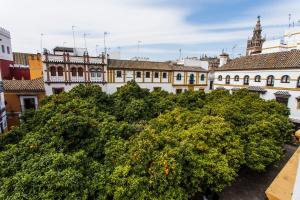 hotel boutique elvira plaza