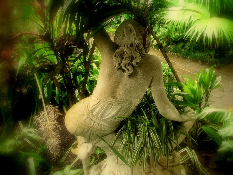 st lucia wetlands guest house