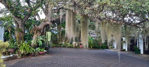 st lucia wetlands guest house