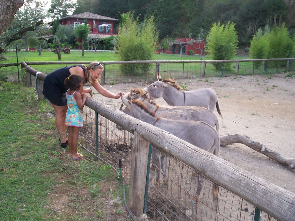 veio residence resort